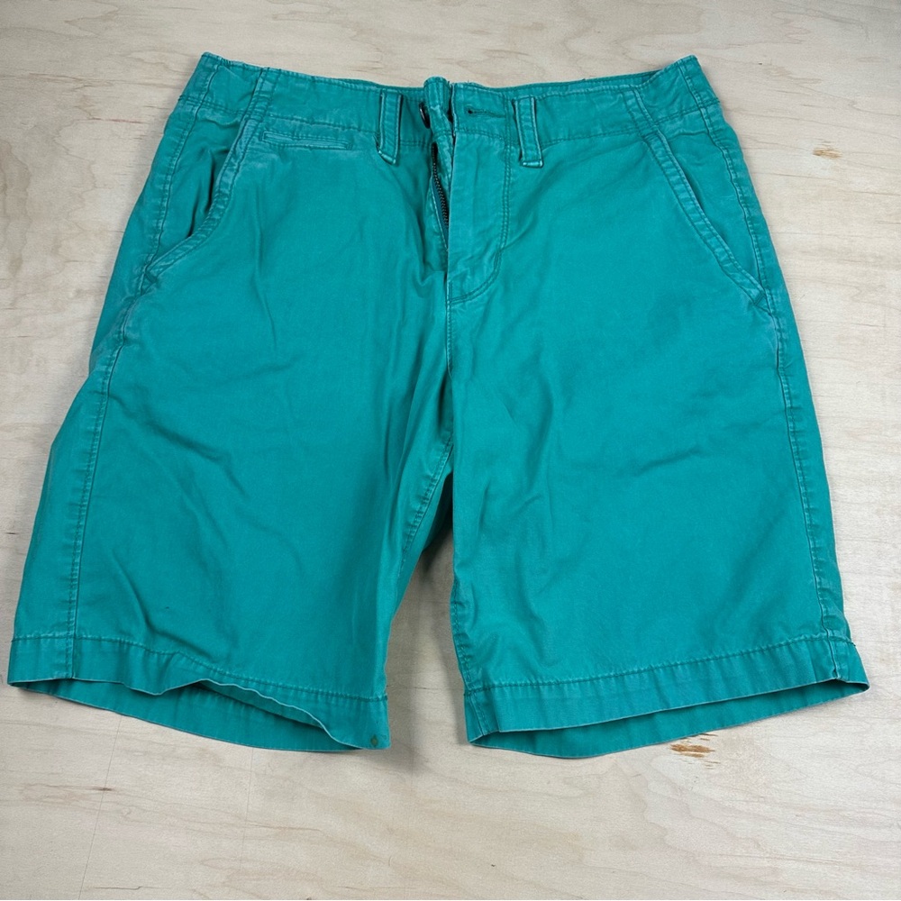 American Eagle Outfitters Turquoise Men's Shorts